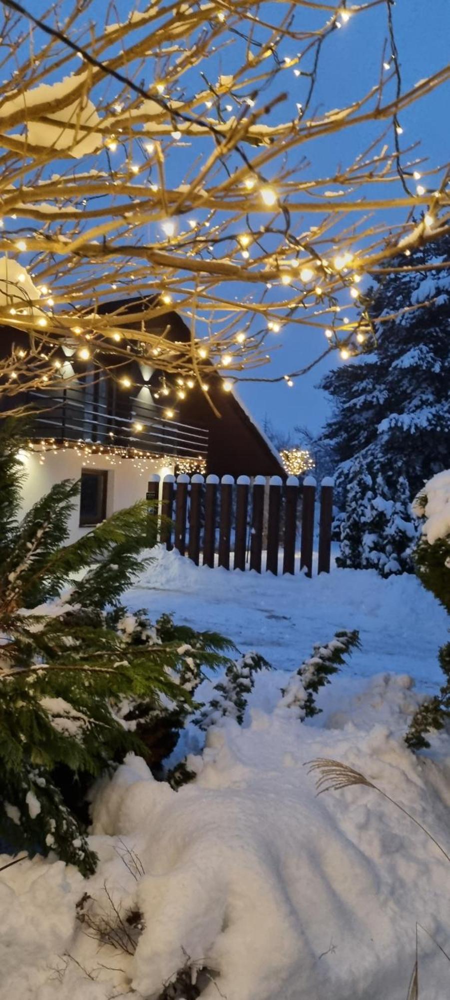 Apartament Willa Pod Sosnami Zator Przeciszow Eksteriør bilde